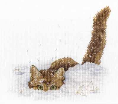Cat In The Snow